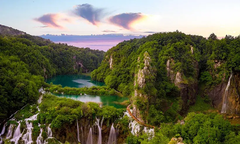 Los 5 bosques más bellos de Europa