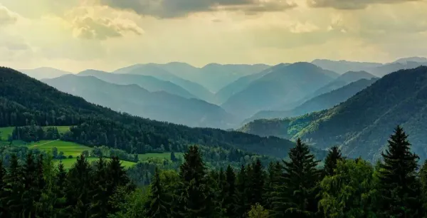 Los 5 bosques más bellos de Europa